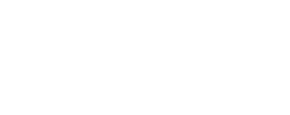 Techserve alliance logo white