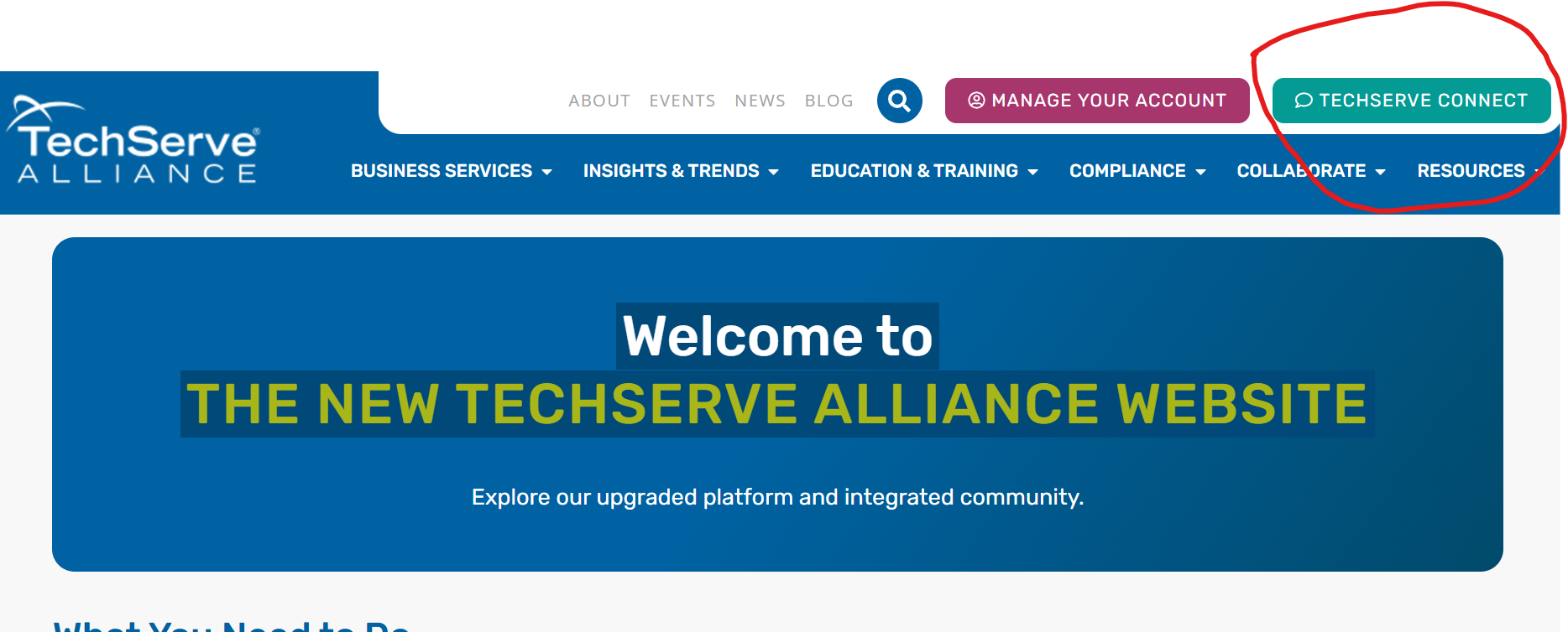 Log In Access Your Dashboard